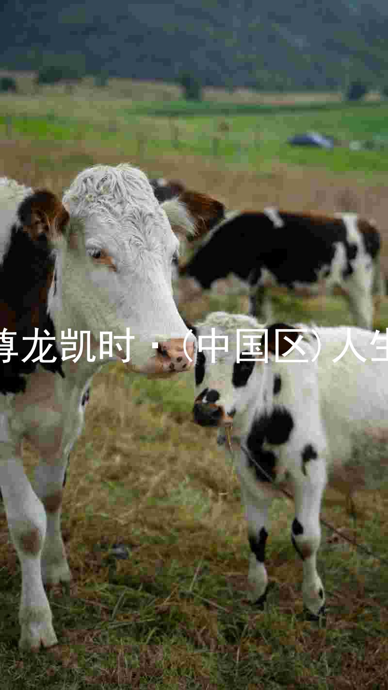 尊龙凯时·(中国区)人生