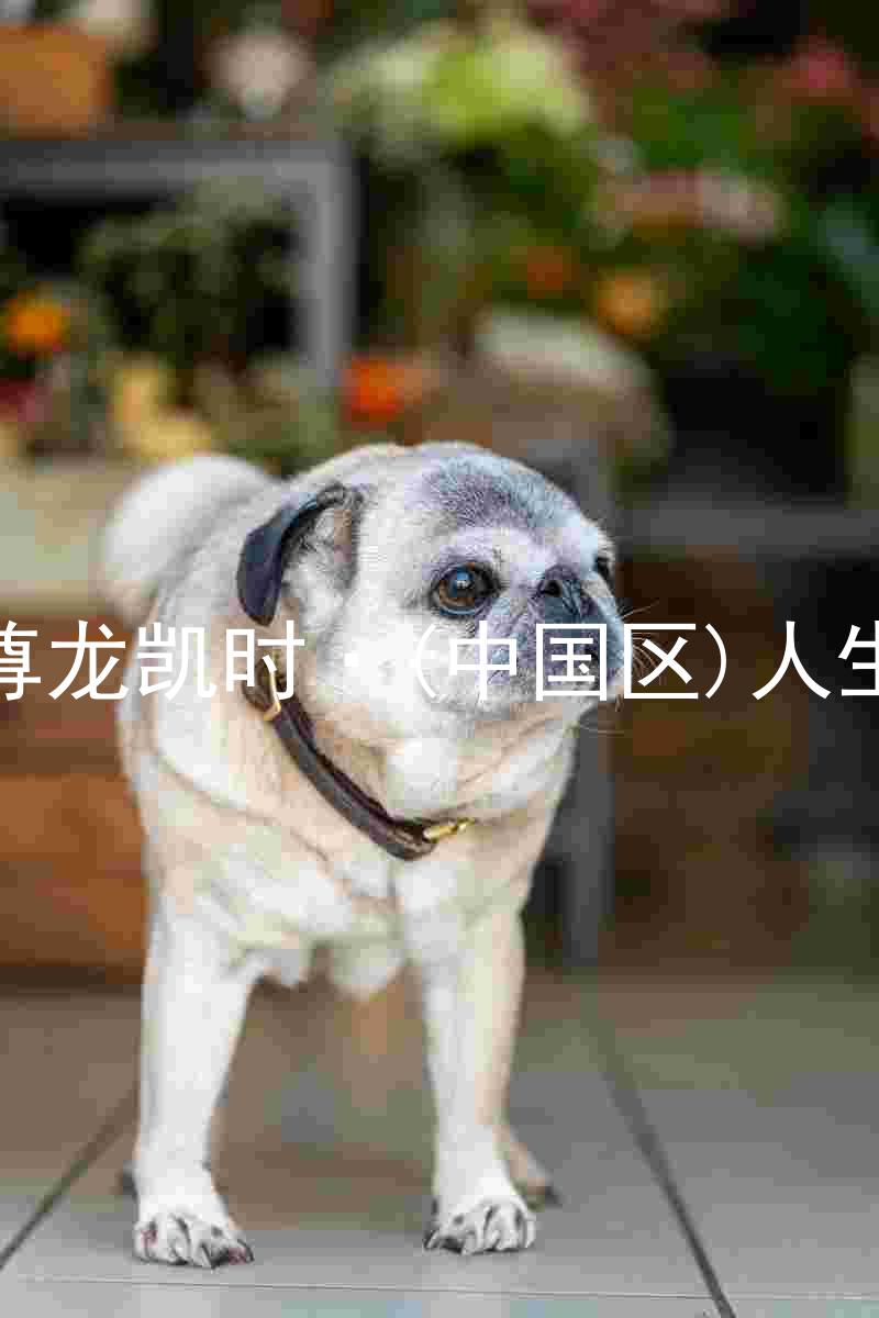 尊龙凯时·(中国区)人生