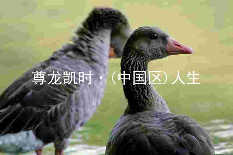尊龙凯时·(中国区)人生